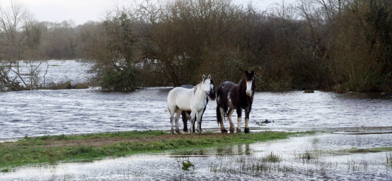 Clare flood relief